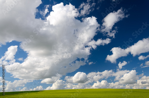 Green field and blue sky with clouds