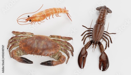 Realistic 3D Render of Crustacean (Edible)