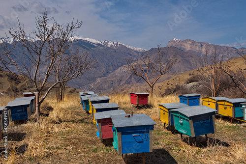 Russia. North-Eastern Caucasus, Republic of Dagestan. View of the mountain peaks of the Caucasus from the apiary, located at an altitude of 2500m on the outskirts of the village of Khushtada.