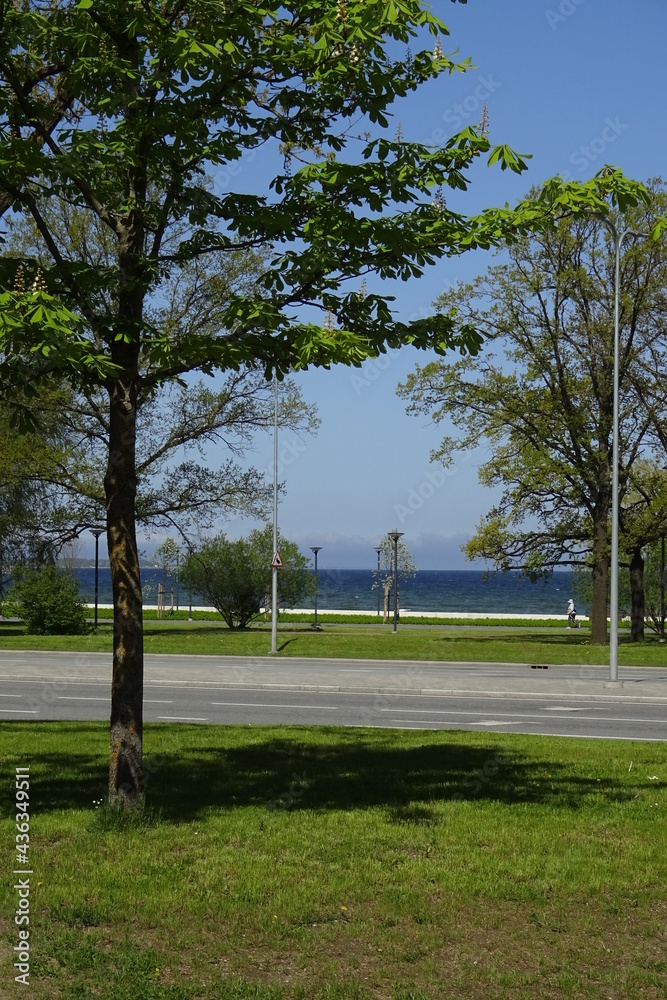 Reidi tee road in Tallinn with a view to the Baltic sea. Green trees and blue sky on a sunny summer day.