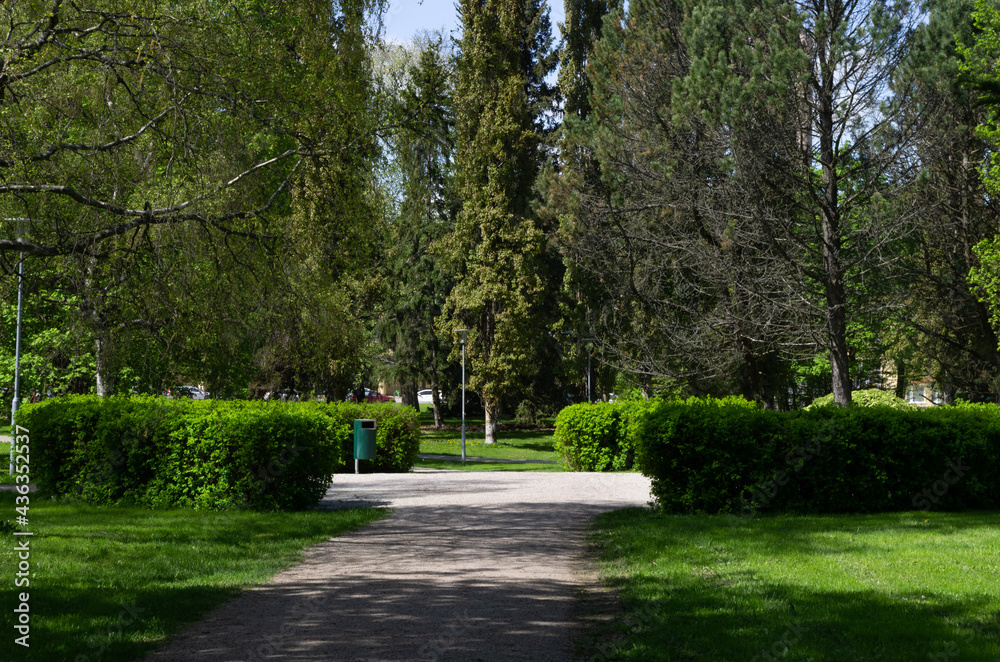 Fototapeta premium path in the park