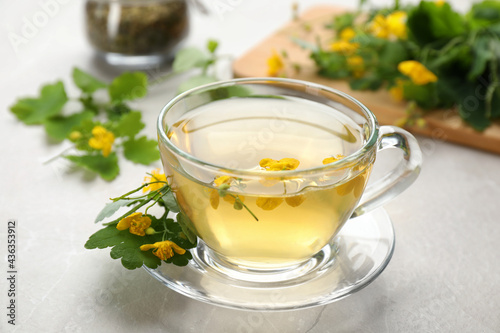 Glass cup of aromatic celandine tea and flowers on grey table, closeup