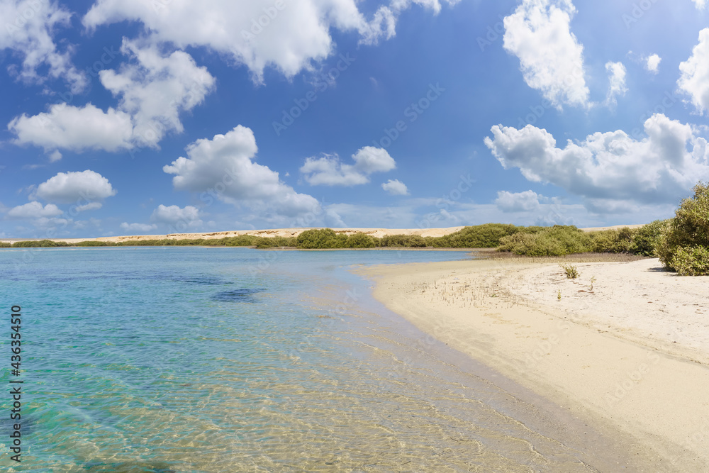 Landscape with El Qulan beach and mangrove forest, Marsa Alam, Egypt