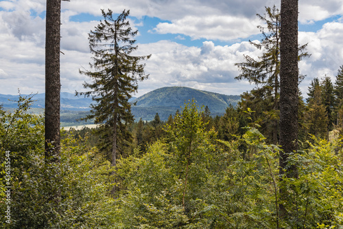 Beautiful panorama of Walbrzych mountains over trees and bushes
