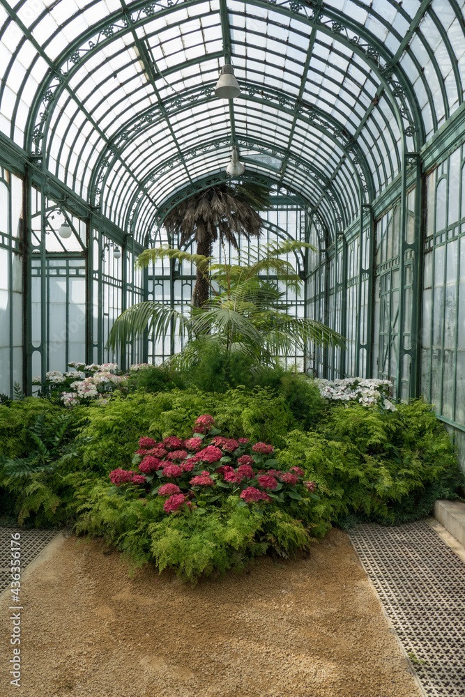 Belgium, Brussels, interior of the pier - royal greenhouses of laeken
