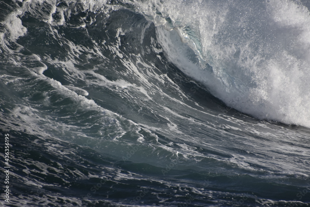 the perfect wave and tube for surfing