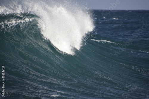 the perfect wave and tube for surfing