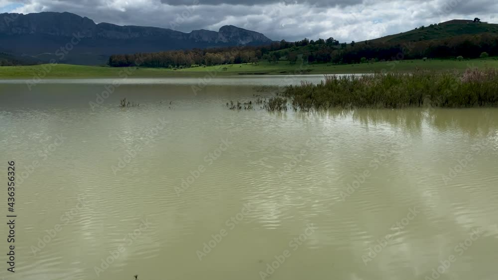 Scanzano lake at the foot of the beautiful Ficuzza forest near Palermo in Sicily. The lake surrounded by green hills of wheat. Pastoral activity. Spring in Sicily. Scanzano lake at the foot of the beautiful Ficuzza forest near Palermo in Sicily. The lake surrounded by green hills of wheat. Pastoral activity. Spring in Sicily.