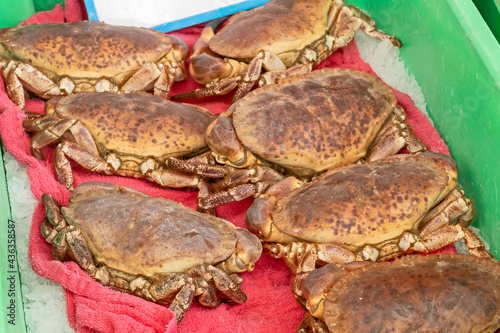 plusieurs crabes dans une caisse sur un marché