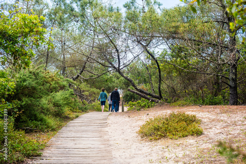 family discovering forest paths in the Landes