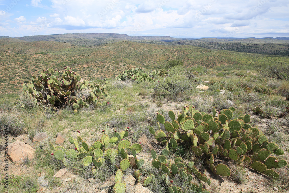 Agua Fria National Monument in Arizona, USA Agua Fria National Monument in Arizona, USA