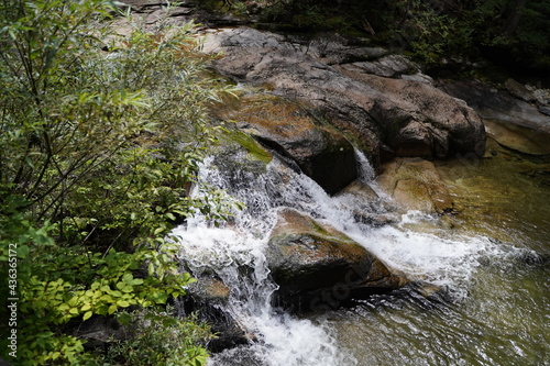 waterfall in the forest