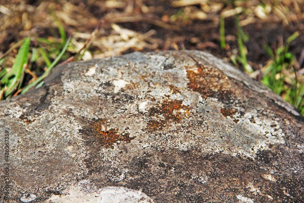 stone stone