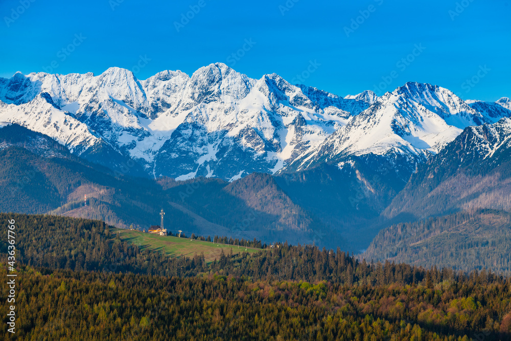 View of the snow-capped Tatra Mountains at early morning. View of the ski slope. Jurgów. Poland