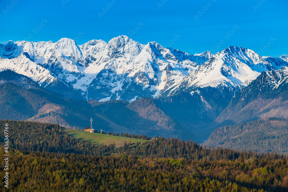 Fototapeta premium View of the snow-capped Tatra Mountains at early morning. View of the ski slope. Jurgów. Poland