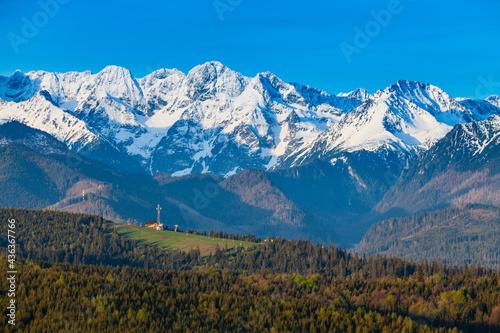Fototapeta Naklejka Na Ścianę i Meble -  View of the snow-capped Tatra Mountains at early morning. View of the ski slope. Jurgów. Poland