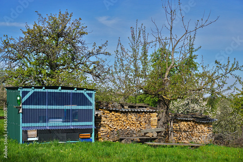 Bienenhaus und Brennholzstapel in einer Streuobstwiese