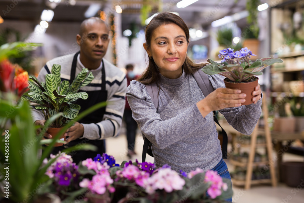 Fototapeta premium Portrait of woman chooses flowers geranium in flower shop