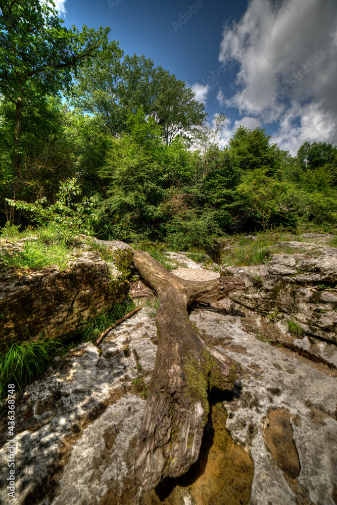 Gorges de Thurignin à Belmont-Luthézieu, Ain, France Gorges de Thurignin à Belmont-Luthézieu, Ain, France