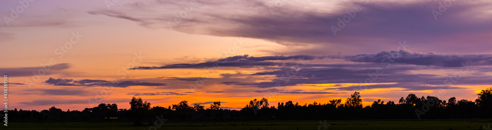 Safari theme.Amazing sunset and sunrise.Panorama silhouette tree in africa with sunset.Dark tree on open field dramatic sunrise.