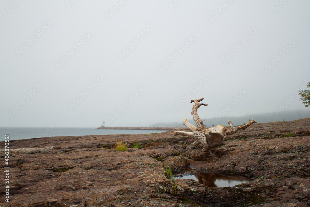 Lake Superior Shoreline and Driftwood with lighthouse in background in Two Harbors, Minnesota. Lake Superior Shoreline and Driftwood with lighthouse in background in Two Harbors, Minnesota.