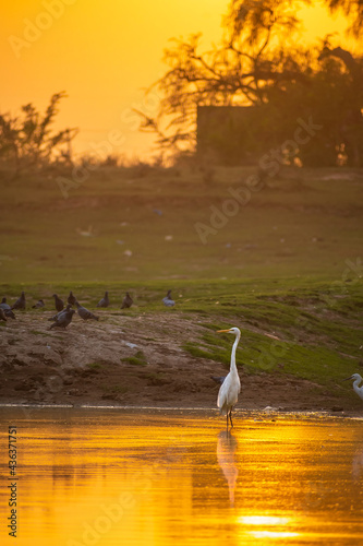 sunset over the lake