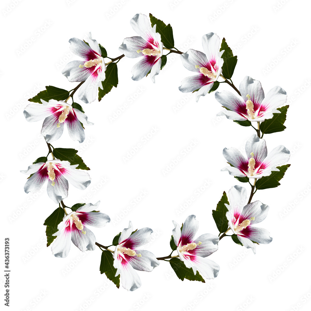 Lily wreath for text. Flower rosette. Round frame with lilies. Lily wreath for text. Flower rosette. Round frame with lilies.