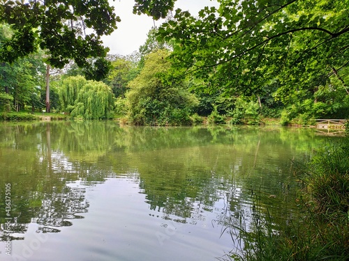 Pond in La Cebera park  Lugones city  Asturias  Spain