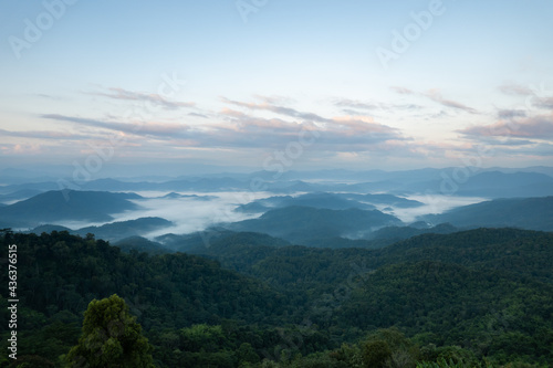 Sea fog with white cloud and twilight sky in natural green forest mountain beautiful scenery for travel in Chiang Rai the north of Thailand