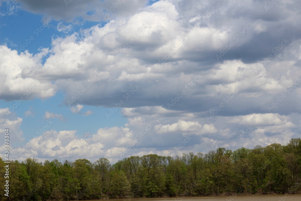 The white clouds over the treetops in the forest. The white clouds over the treetops in the forest.