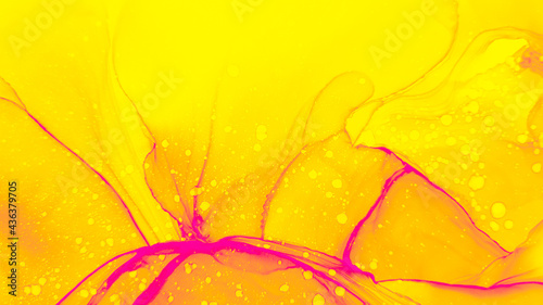 Summer Alcohol Ink.