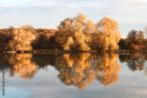 Ensingener See