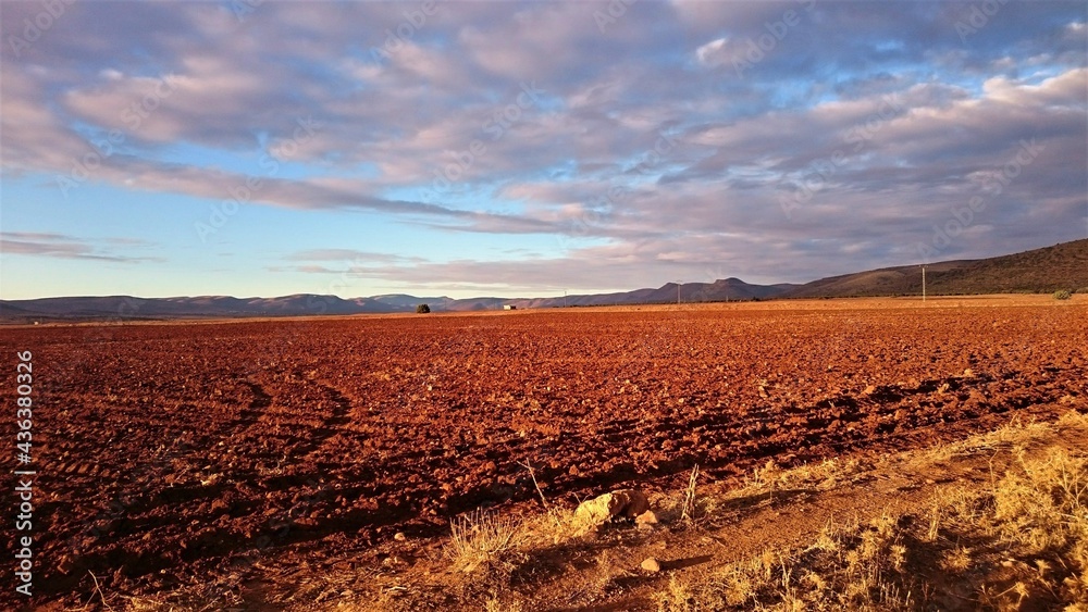 Obraz premium agriculture, labour