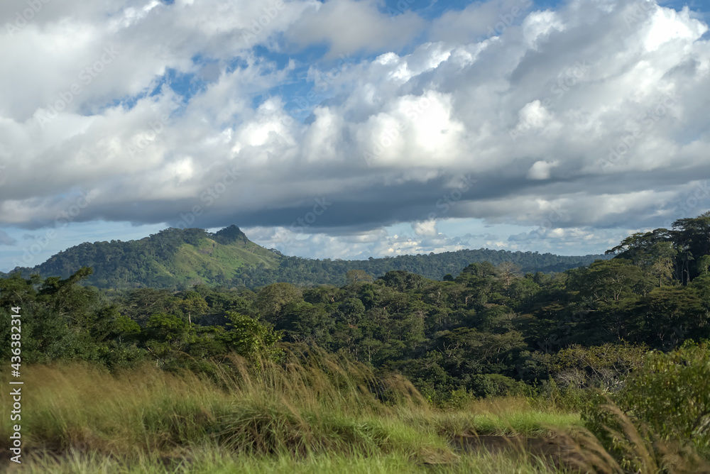 Hills in the central African Rain forest under cloudy sky 