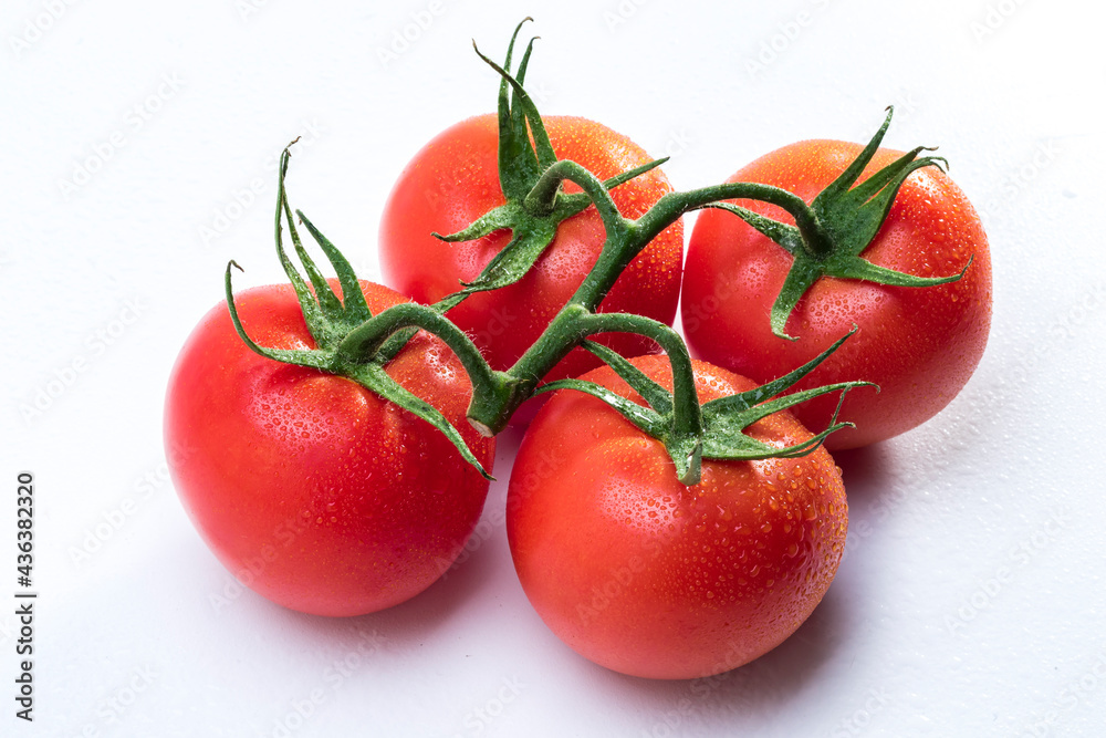 tomates frescos em fundo branco tomates frescos em fundo branco
