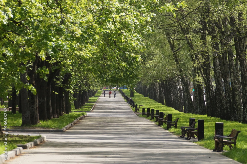 path in the park