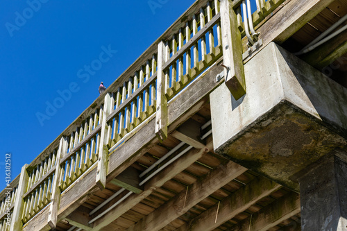 Underneath structure of a wood pier supported by concrete pilings set against a blue sky, horizontal aspect © Natalie Schorr