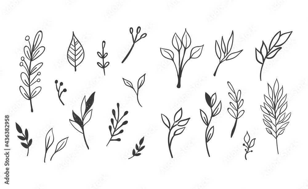 Floral and herbal ornament hand drawn designs. Leaves and branches nature doodles. Floral and herbal ornament hand drawn designs. Leaves and branches nature doodles.