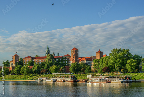 Zamek królewski Wawel gołąb krakowski