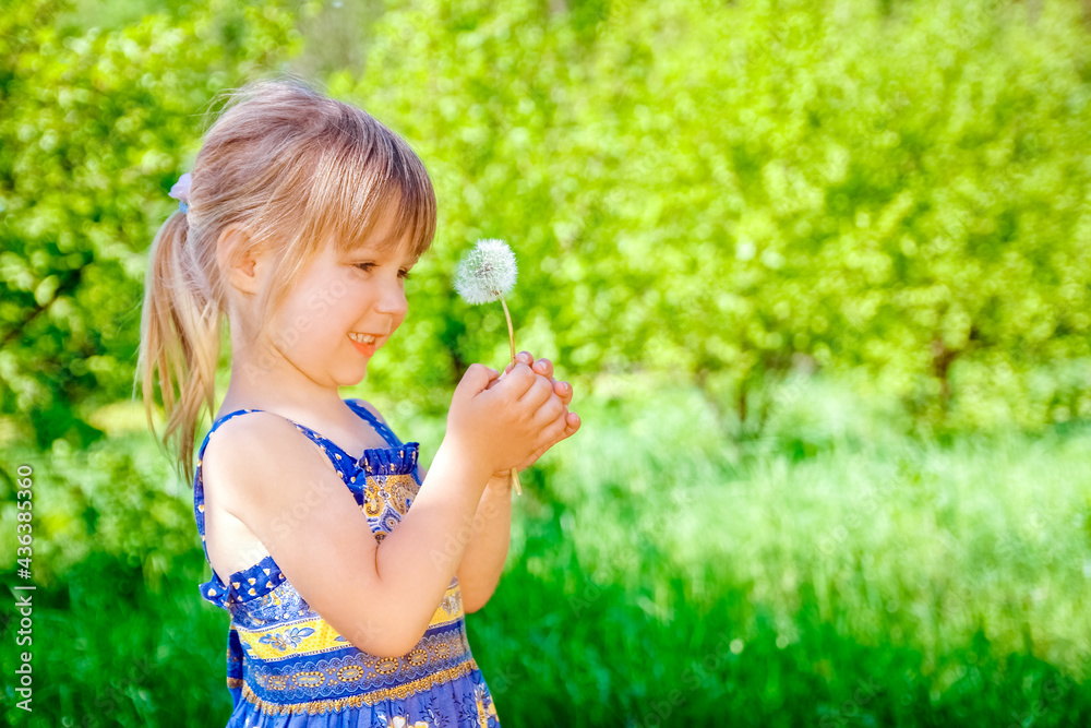 happy child blowing dandelion on nature in the park happy child blowing dandelion on nature in the park