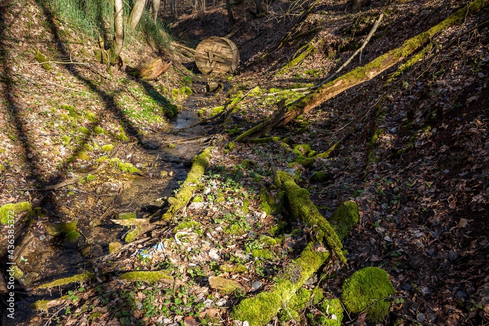 The bottom of a ravine littered with dead wood covered with green moss and various debris The bottom of a ravine littered with dead wood covered with green moss and various debris