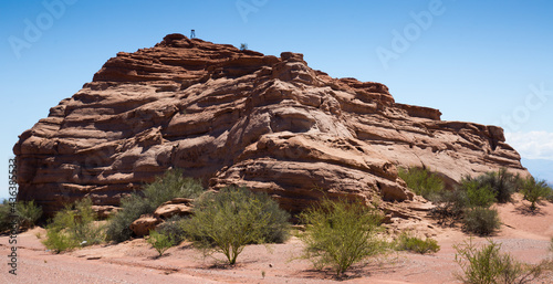 Landscape of desert with rocks and plants  La Rioja province  western Argentina. Patagonia  Argentina  South America