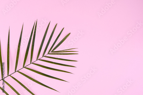 Fruit carambol  beach accessories and foliage of a tropical plant on colored paper