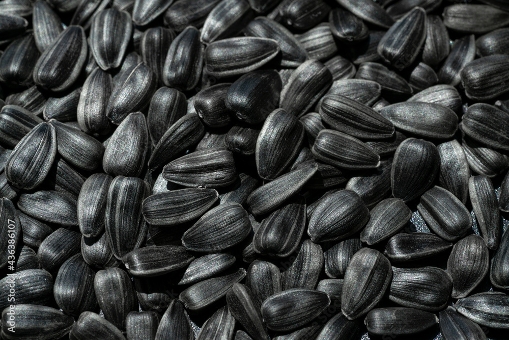 sunflower seeds background, closeup of roasted seeds sunflower seeds background, closeup of roasted seeds