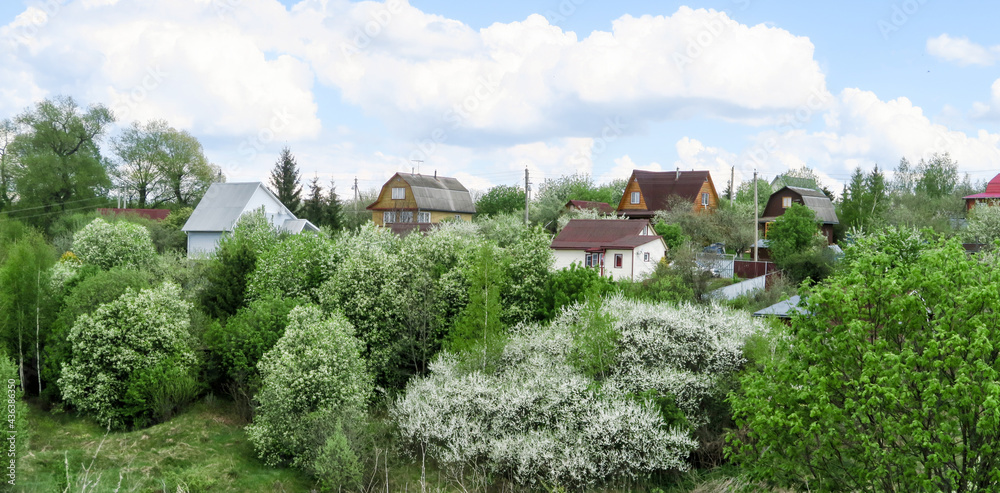 Rustic houses in a garden of cherry blossoms and apple trees. Cottages on a hill on a sunny day in spring.