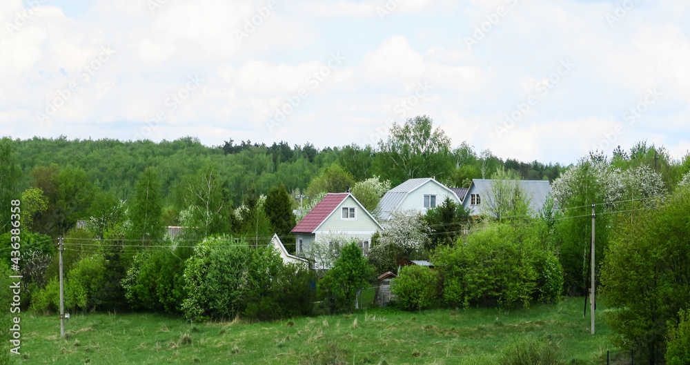 Rustic houses in a garden of cherry blossoms and apple trees. Cottages on a hill on a sunny day in spring.