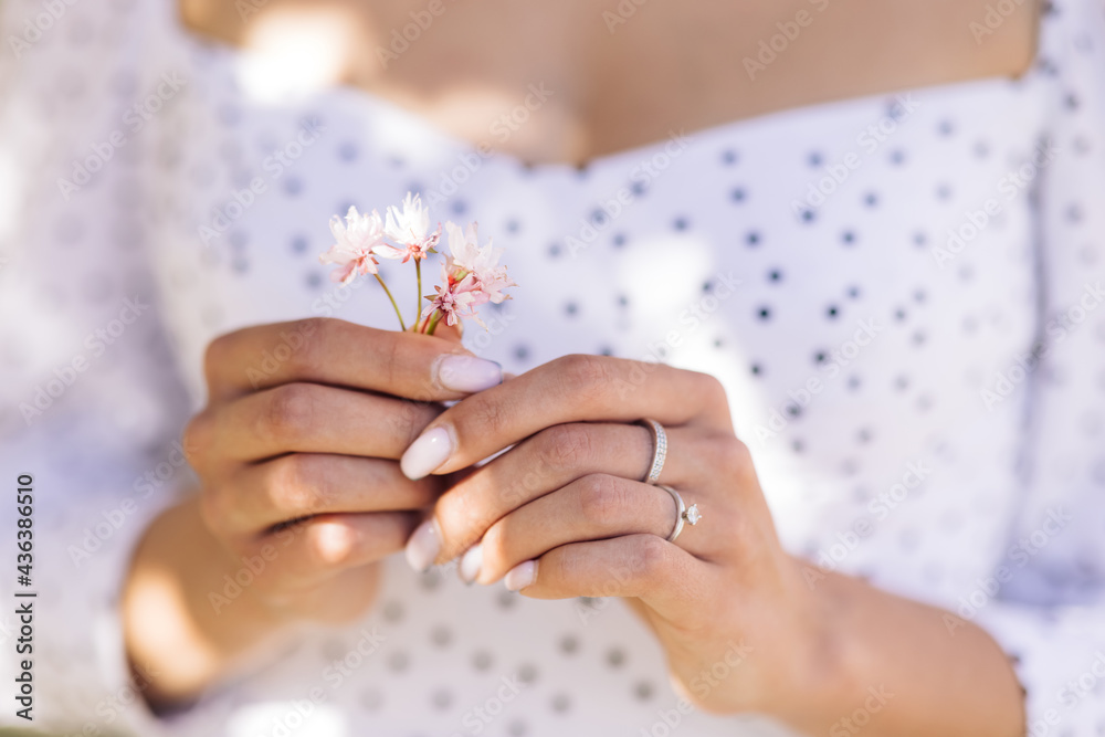Portrait gorgeous girl is holding pink flower petals in her hands. Blowing petals, windy weather Portrait gorgeous girl is holding pink flower petals in her hands. Blowing petals, windy weather