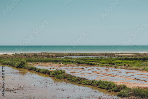 Delta del Ebro. Humedales de la playa del Migjorn.  photo
