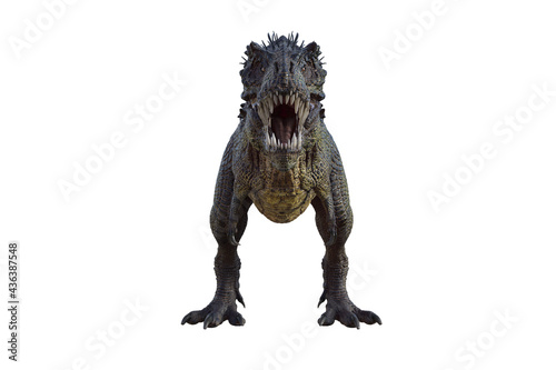 tyrannosaurus rex  in different poses for better adaptation to your collagen. 3d illustration  3d rendering.