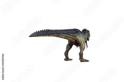 tyrannosaurus rex  in different poses for better adaptation to your collagen. 3d illustration  3d rendering.